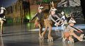 Lionking 0132